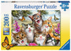 Friendly Felines - 12620