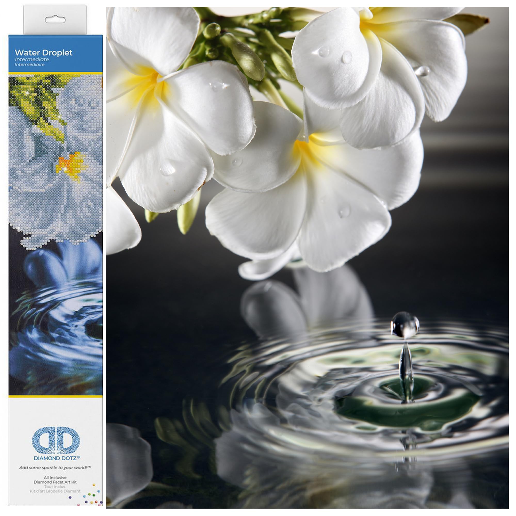 Water Droplet - 12.6