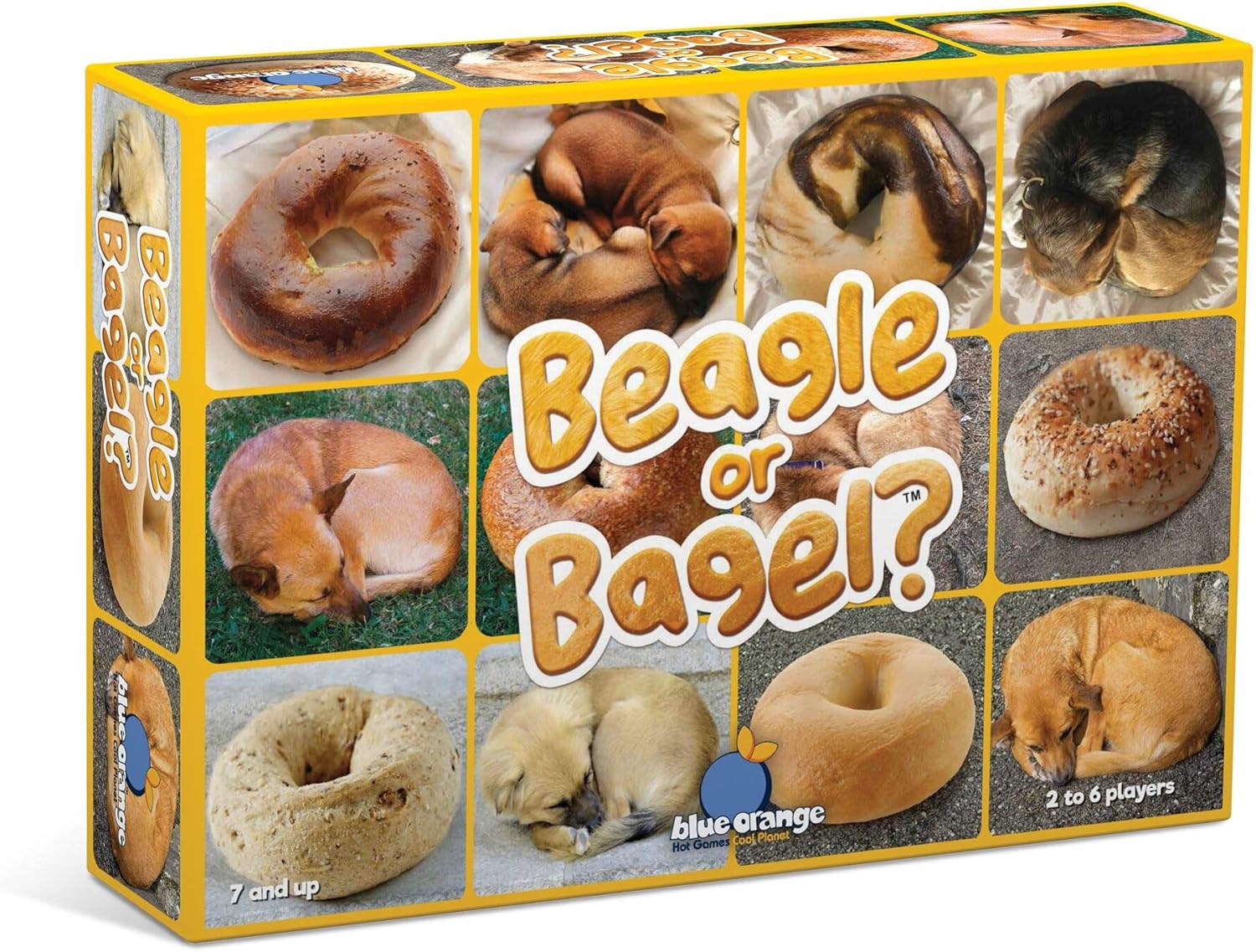 Blue Orange Games - BL-7301 | Beagle or Bagel